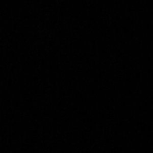 Meet your Posher, Belle